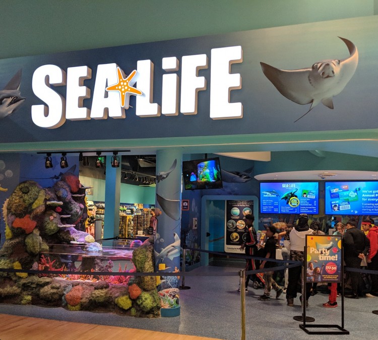 sea-life-michigan-aquarium-photo
